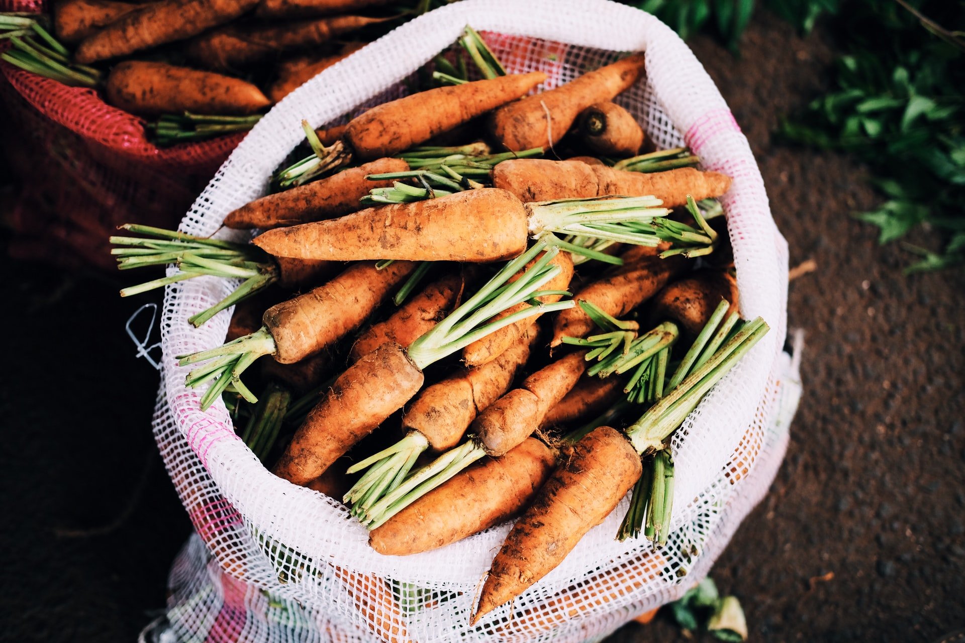 Become a real Farmer on the Wimpole Estate