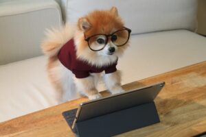 How to Write Website Copy That Converts - Tips for Small Business Owners
