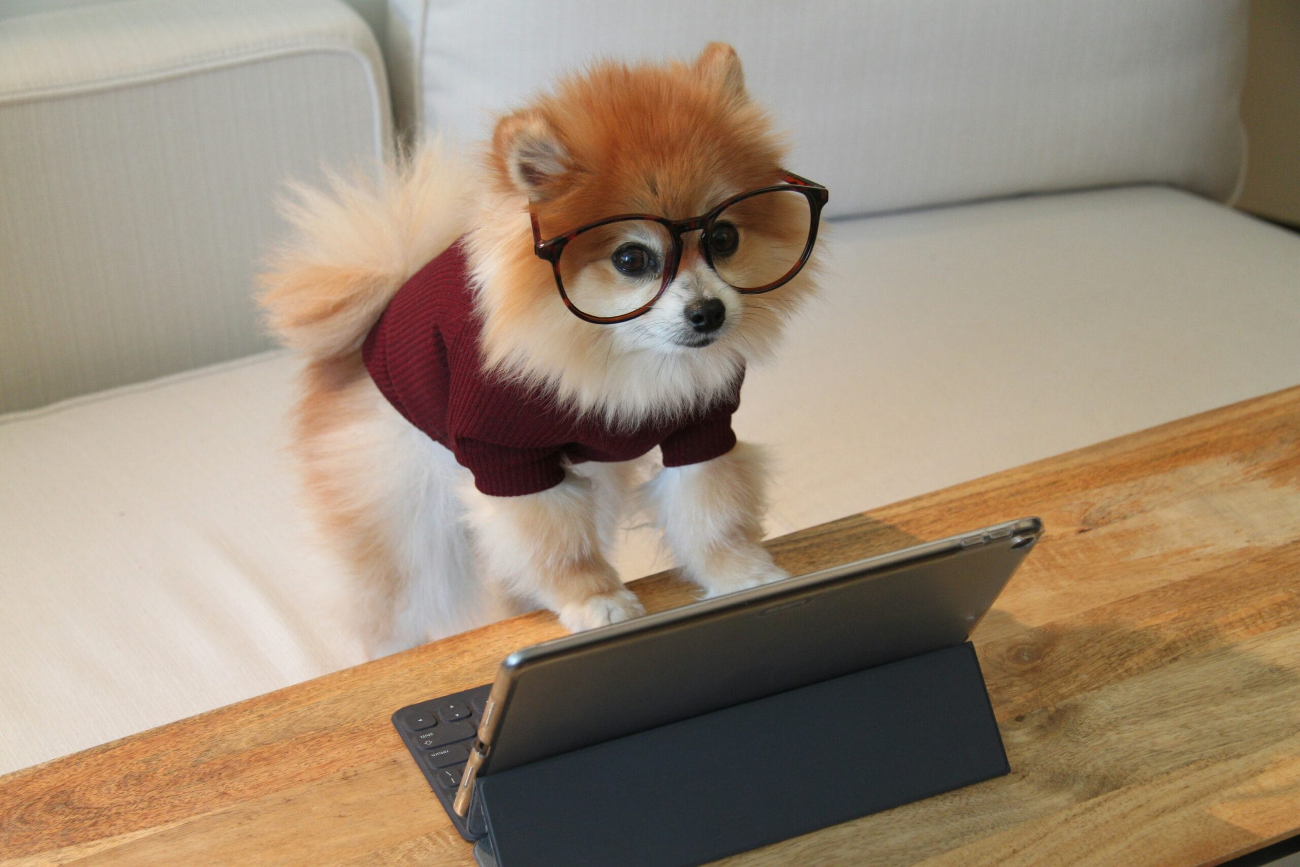 How to Write Website Copy That Converts - Tips for Small Business Owners